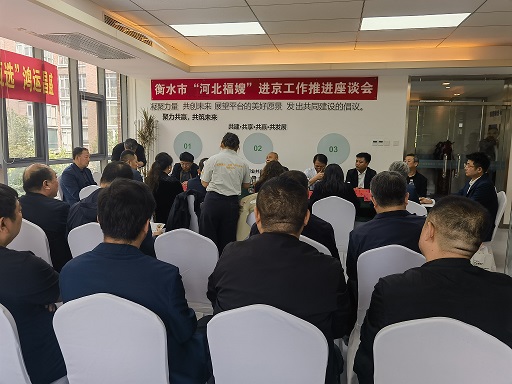 总经理参加河北福嫂进京工作推荐座谈会